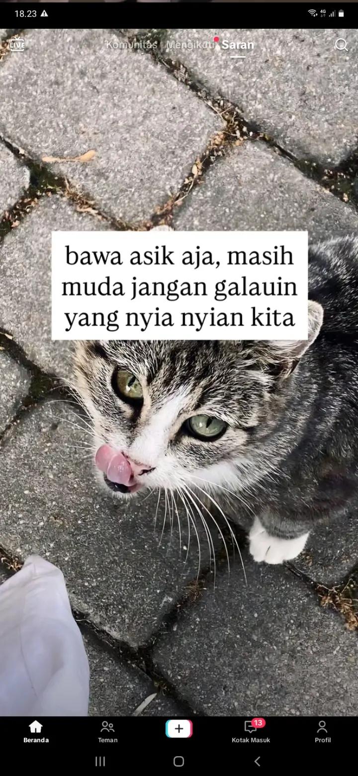 @san