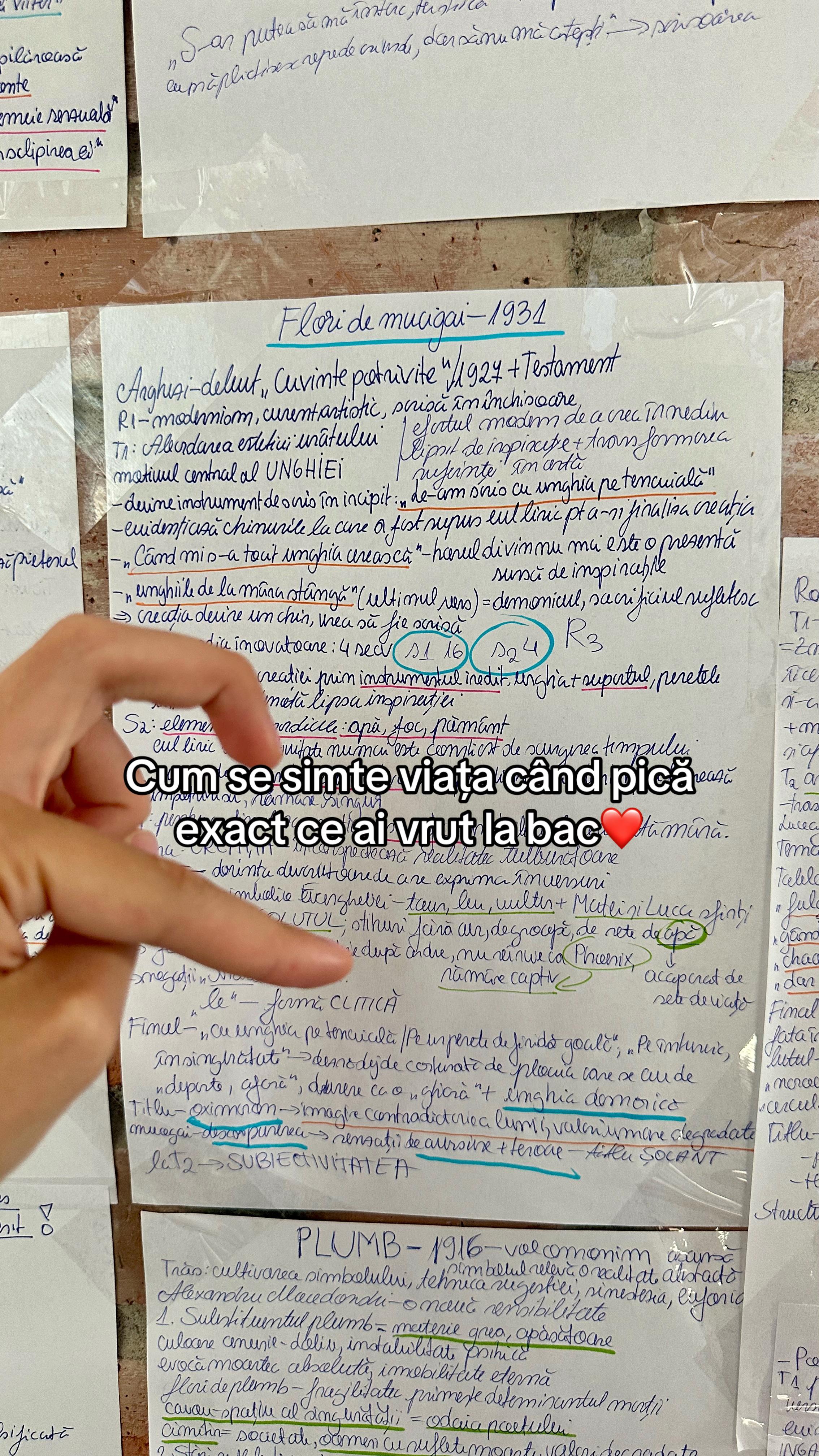 @Marta Herăscu🦋