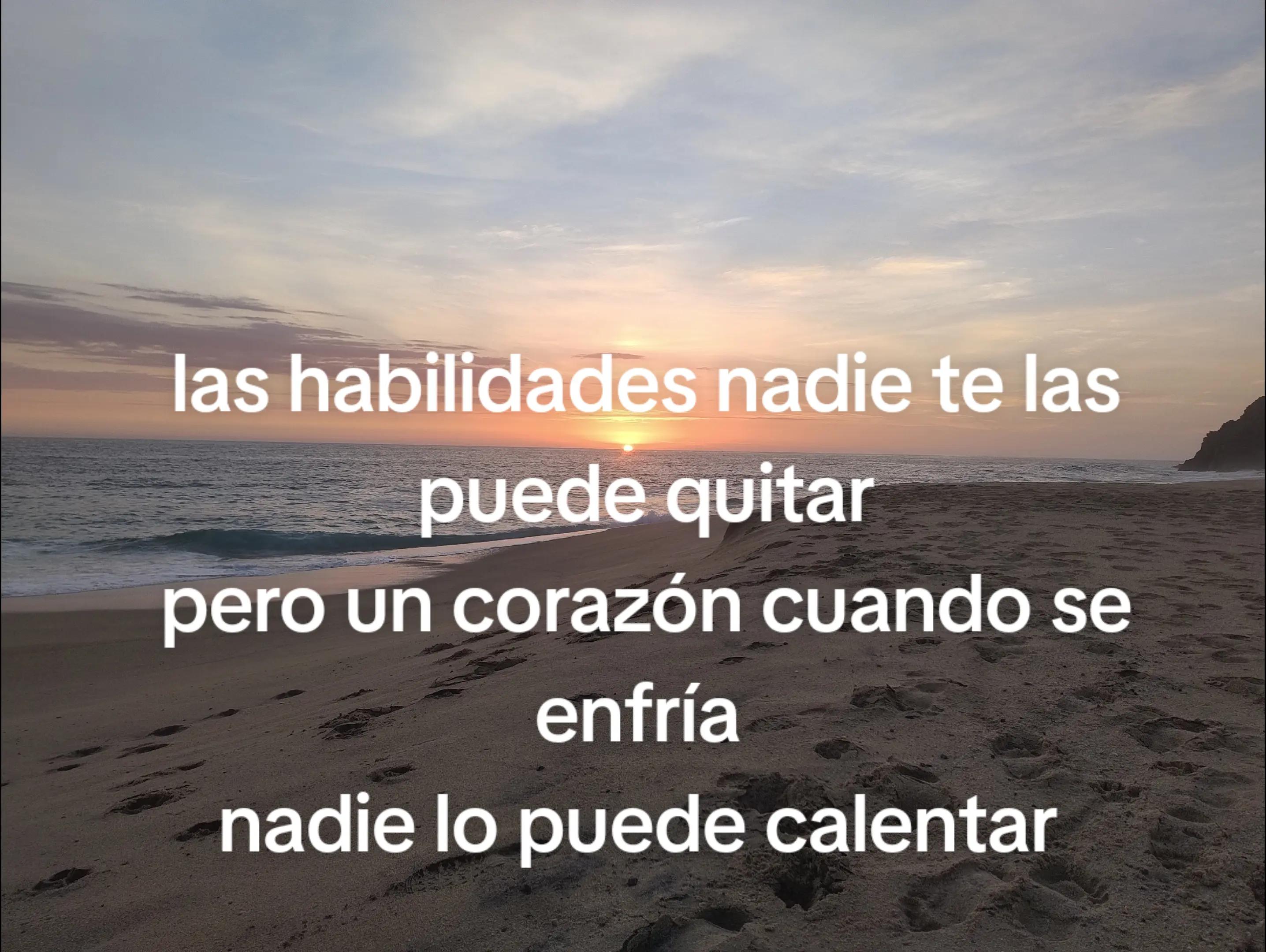 @Mini bosque