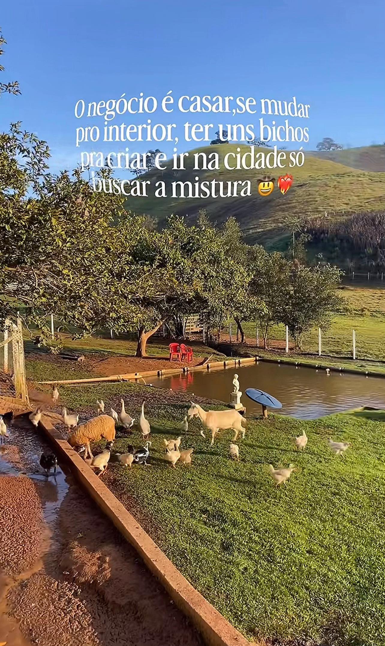 @Frases