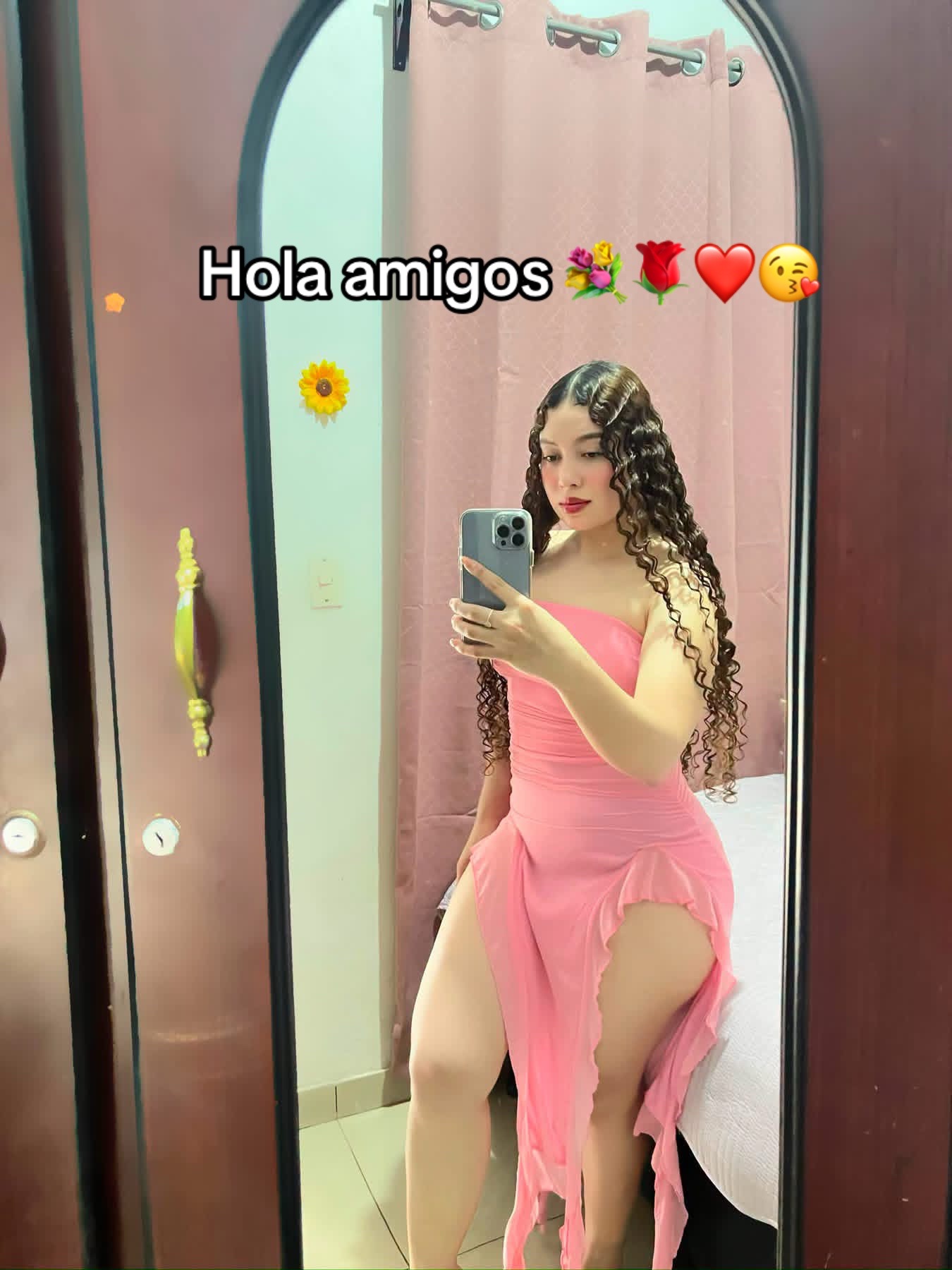 @Jeidy Anariba