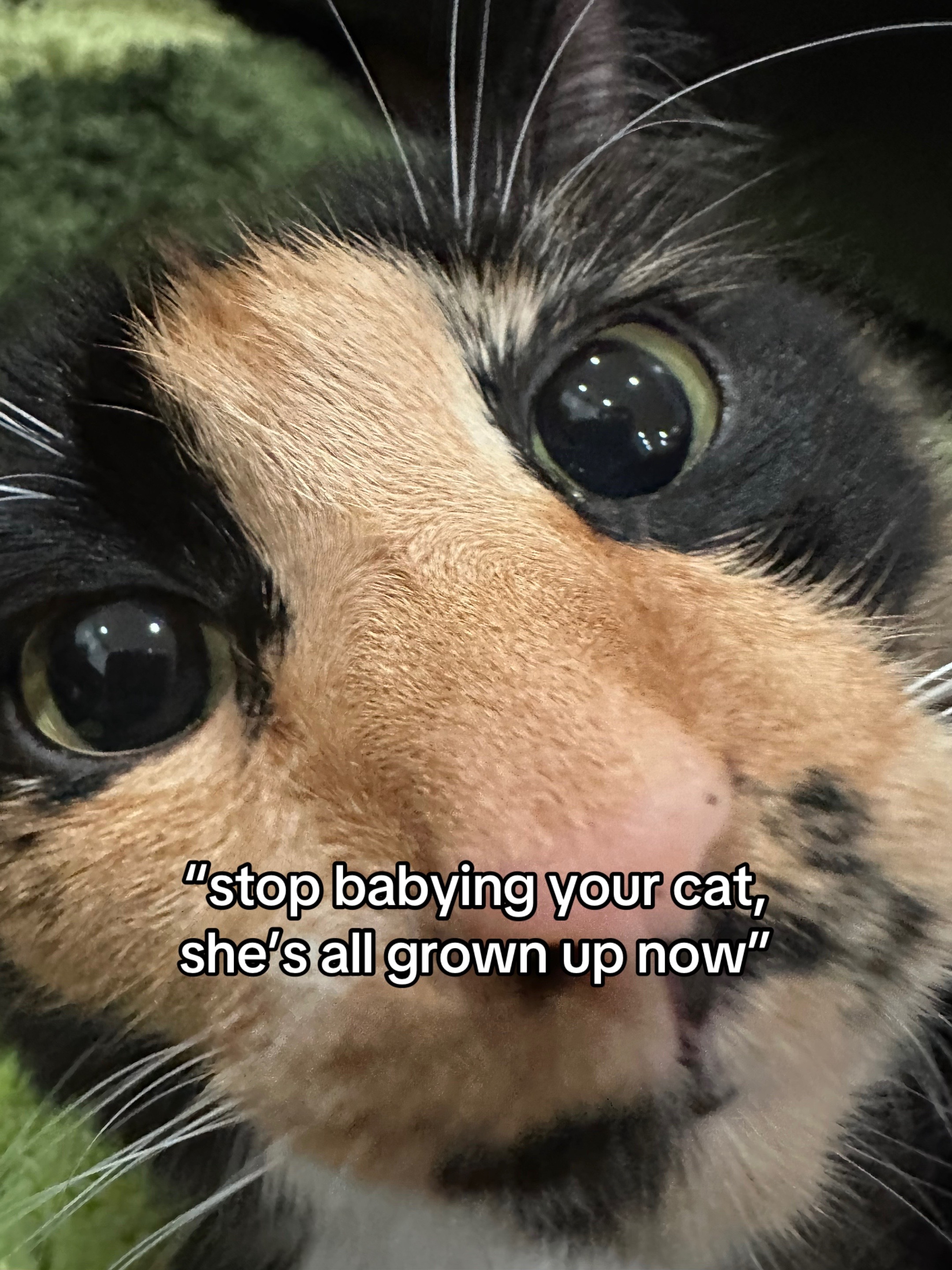 @Khy