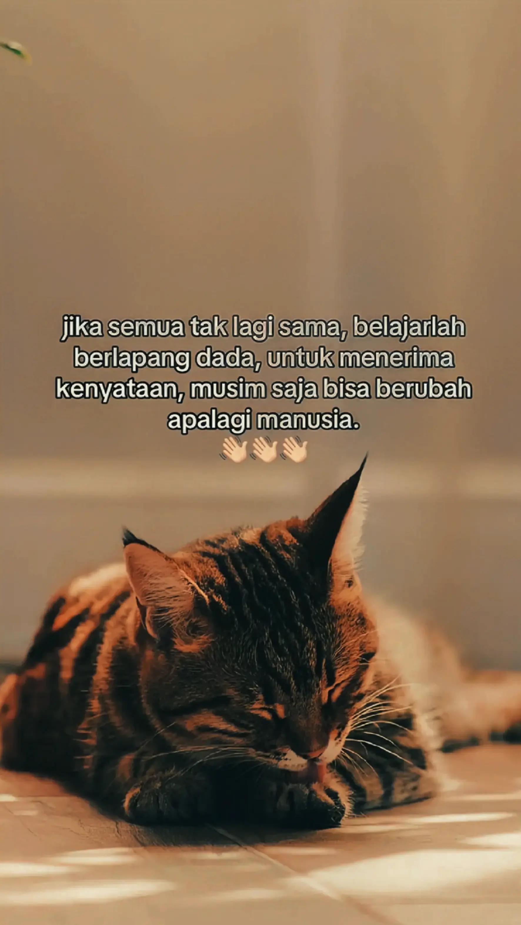 @𝘻𝘢𝘴𝘴