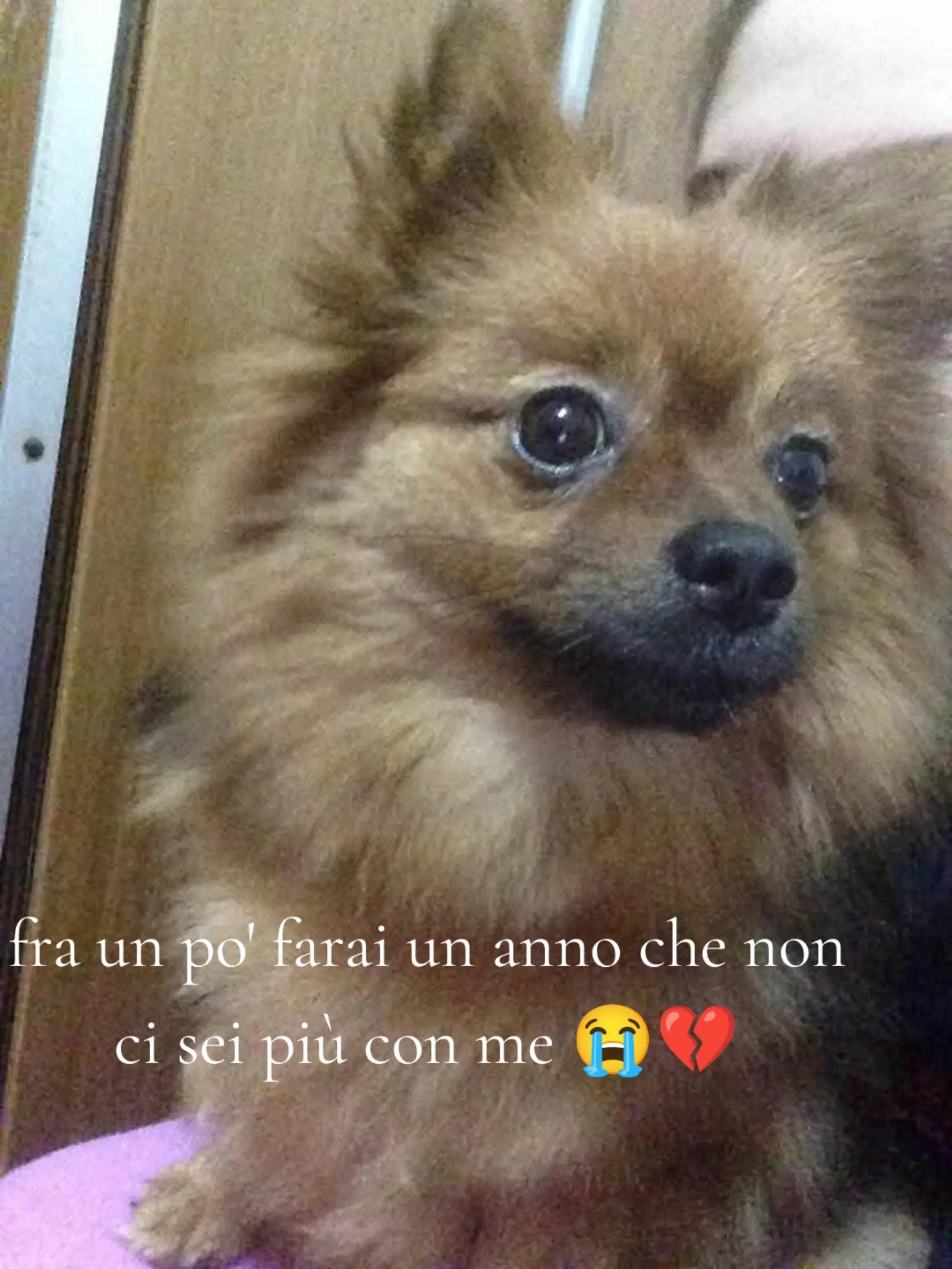 @Carmela Aiello
