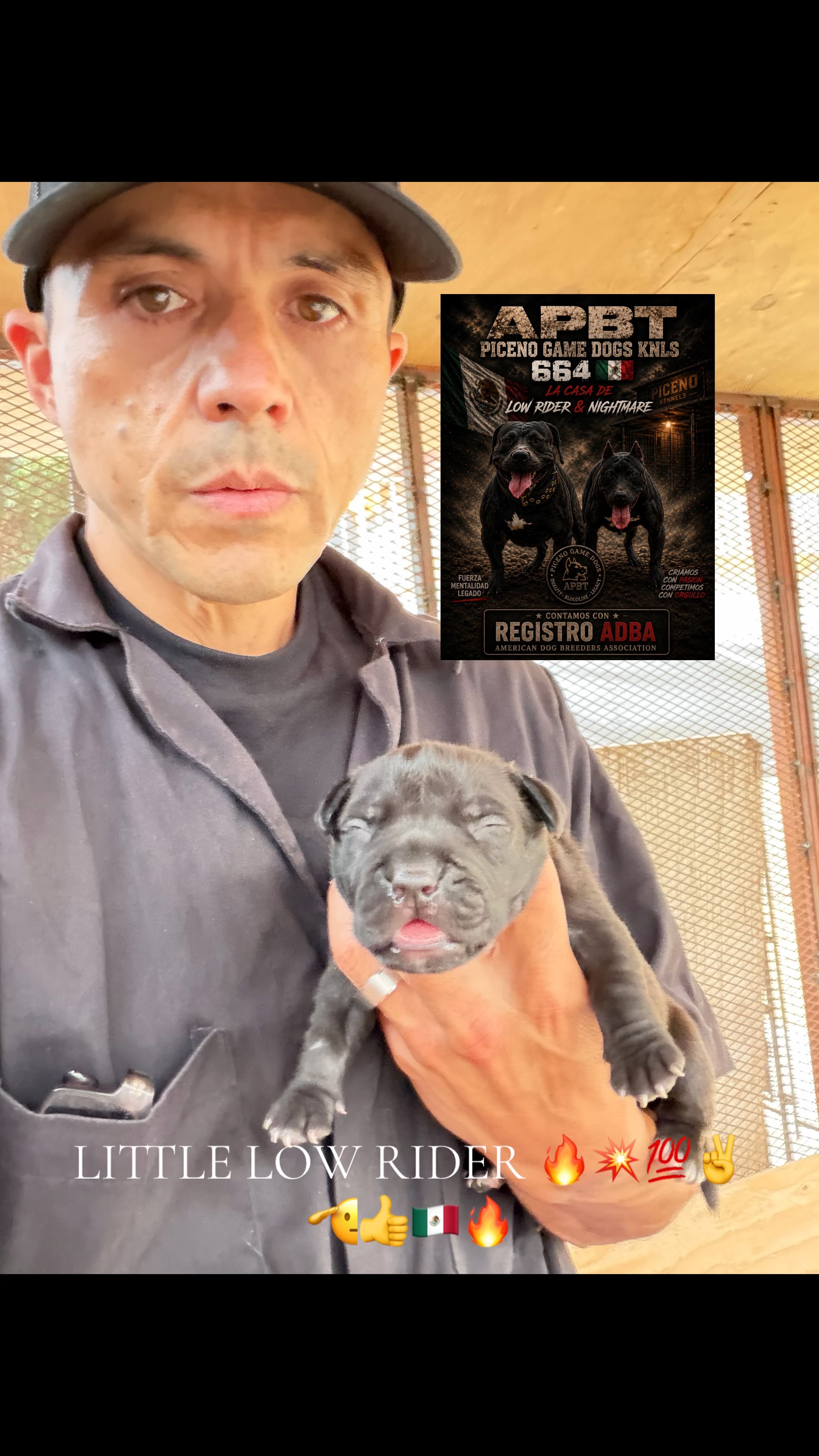 @APBT PICENO TIJUANA