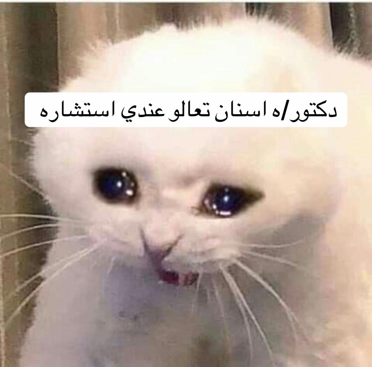 @حنين&ensp;هادي&ensp;🐈&zwj;⬛🩷