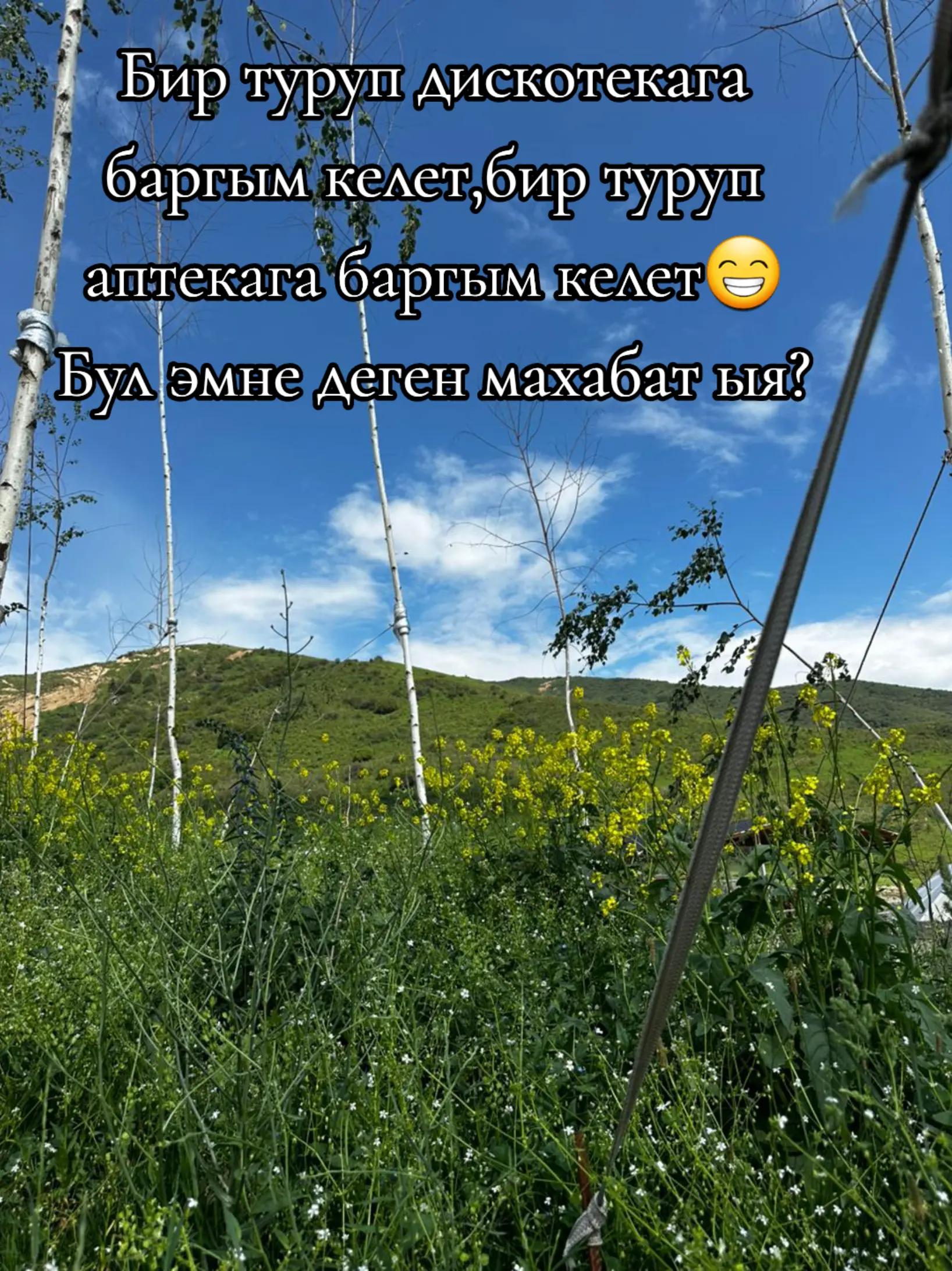 @Elmira.z