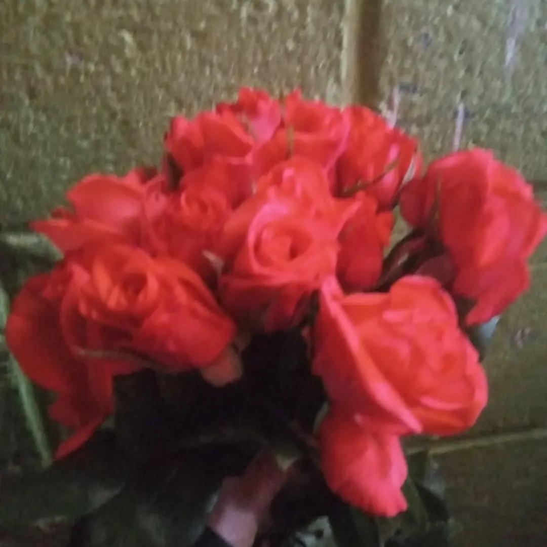 @@Miriam Mendez729