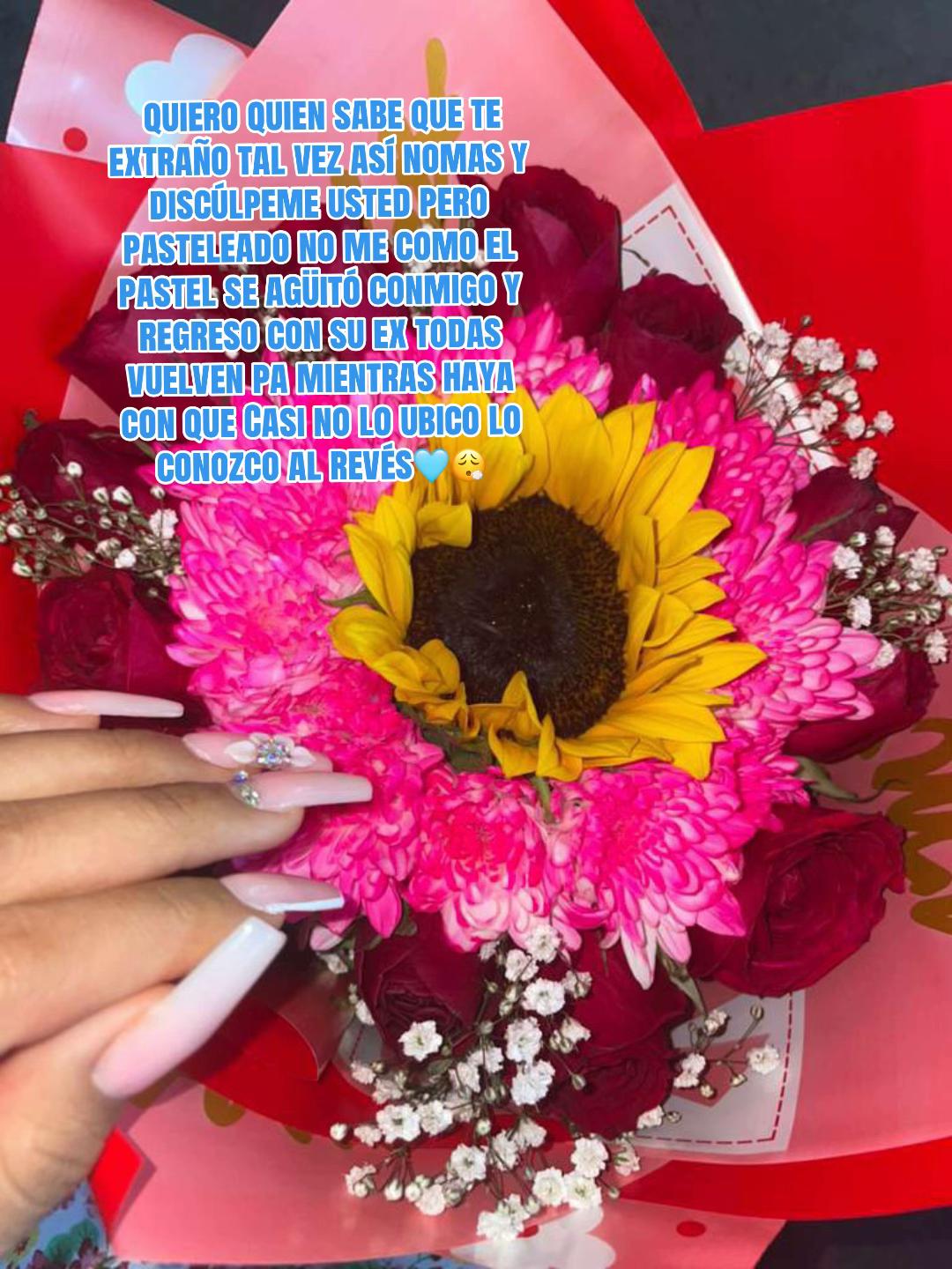 @🩵🦋Monse🐺🥷🏻🩵