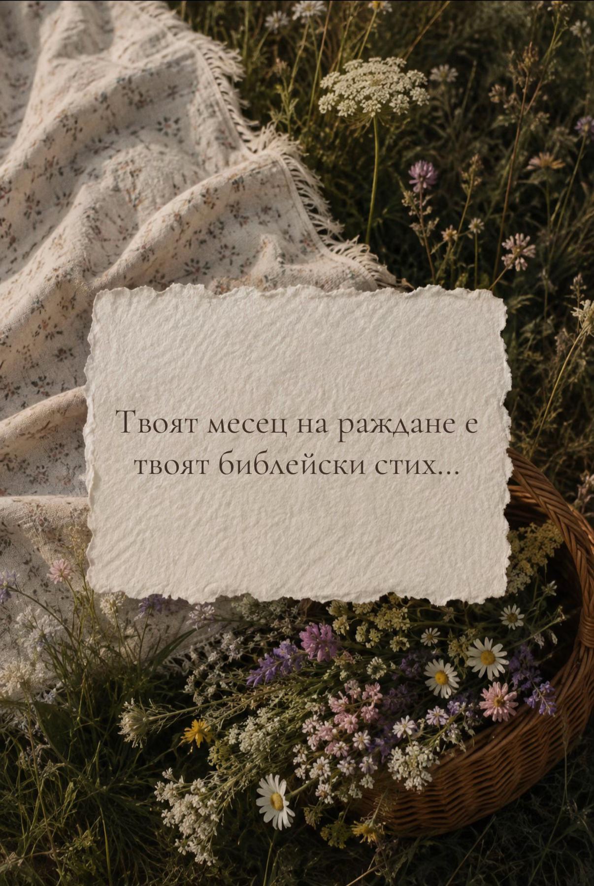 @IVANA✨DREAMER