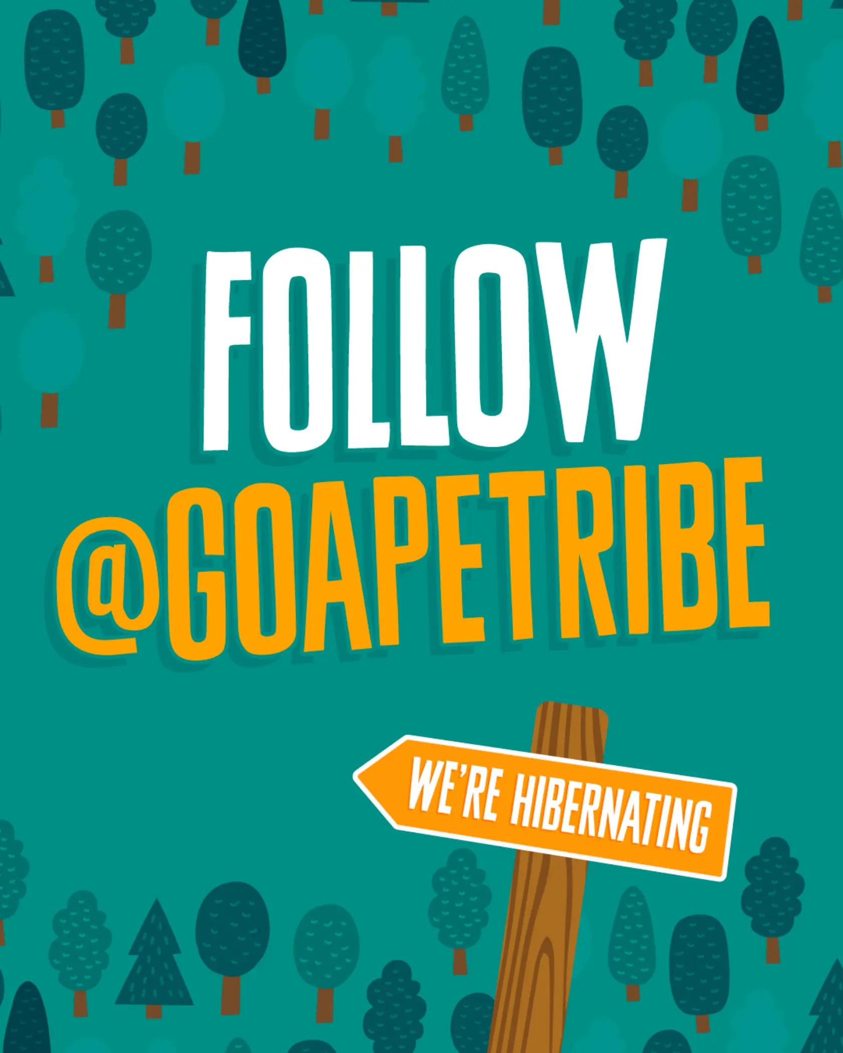 @Go Ape Rivington