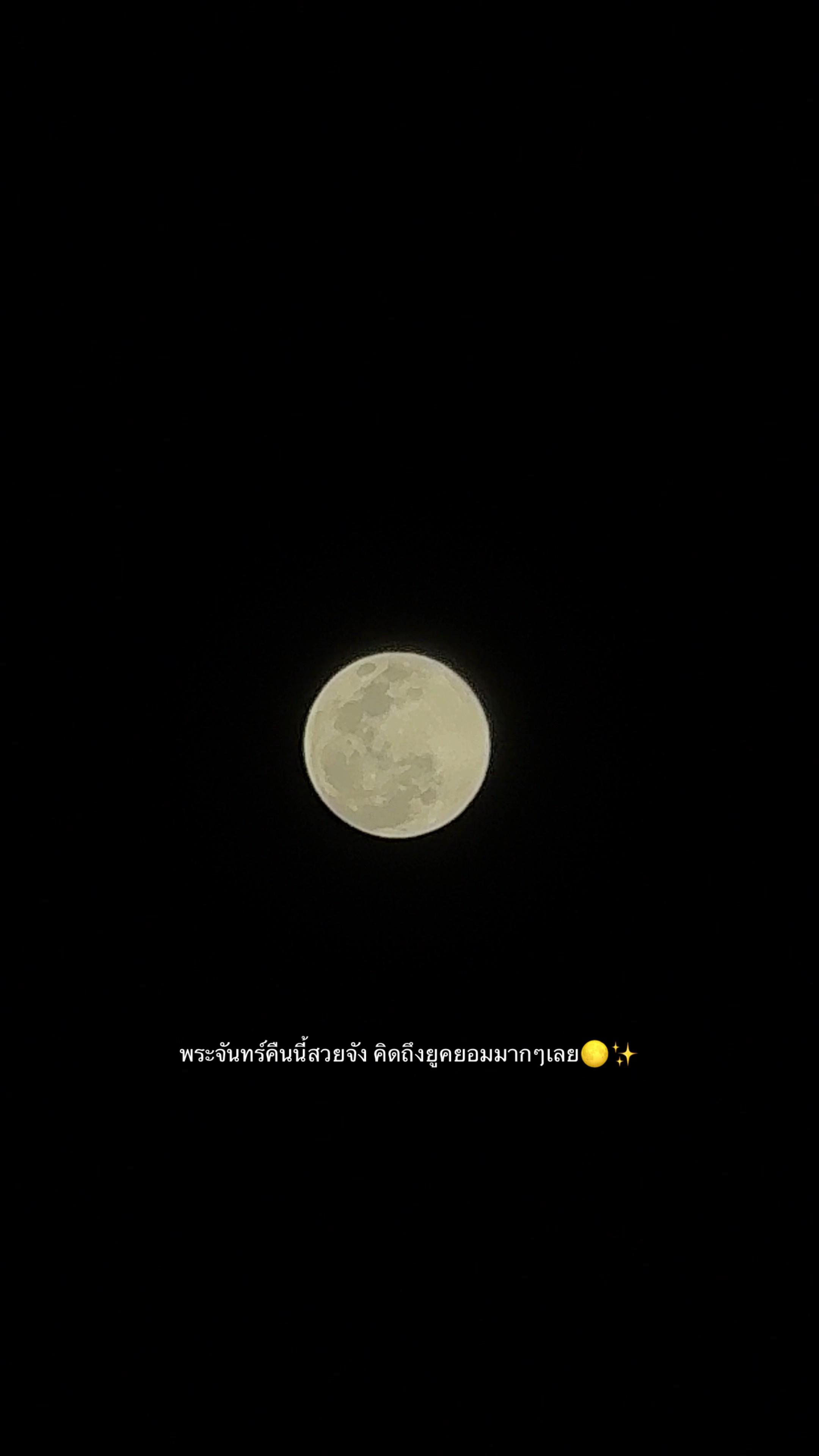 @𝕄𝕚𝕟𝕜KyumGOT7