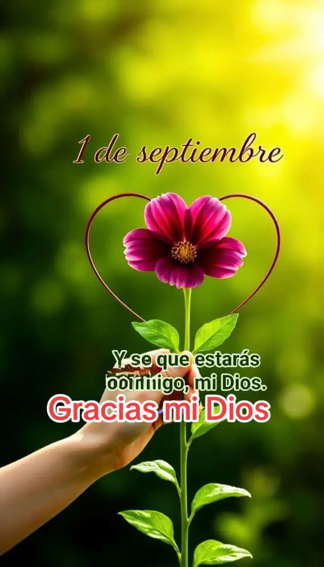 @🦅🦅Loida Arano 🇲🇽🇭🇳