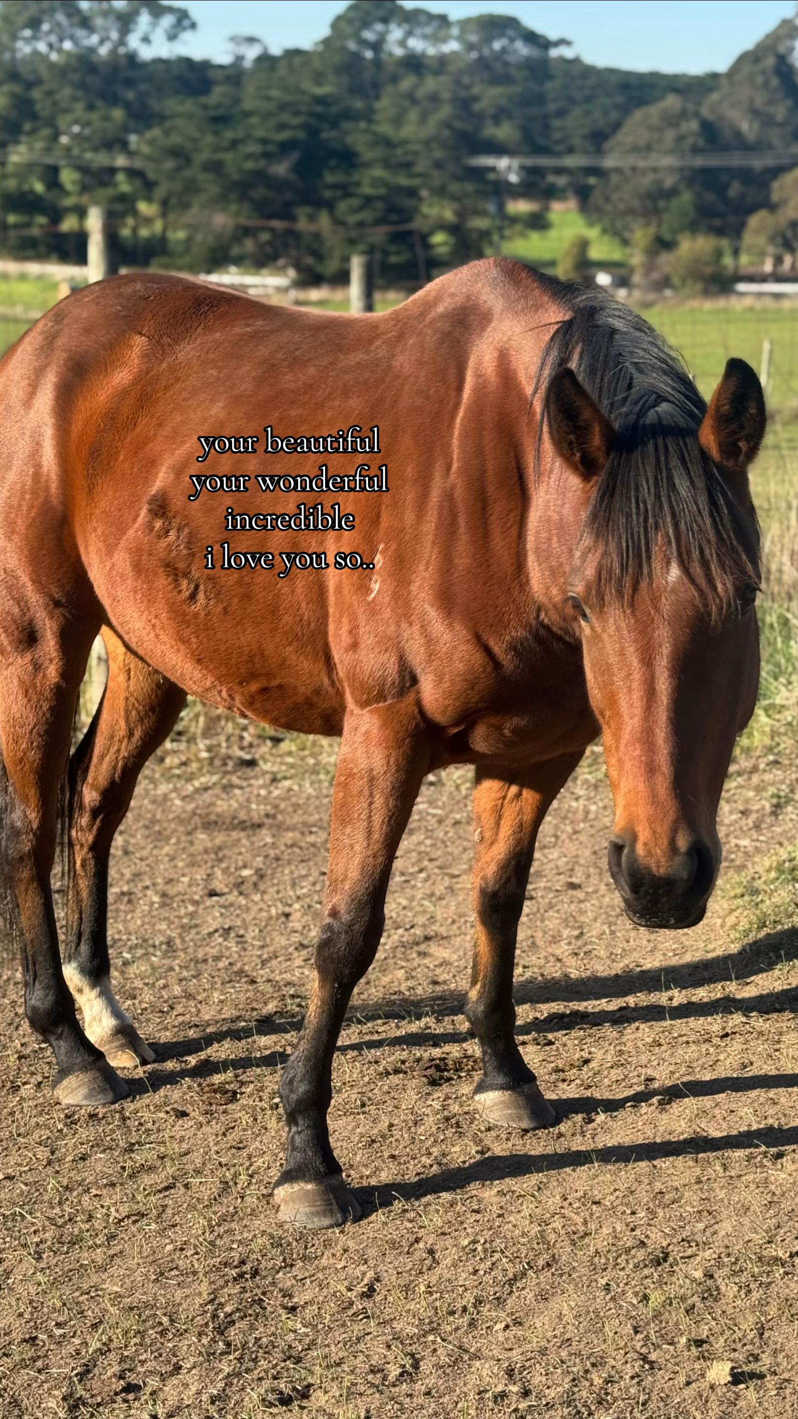 @Mimmut19.24