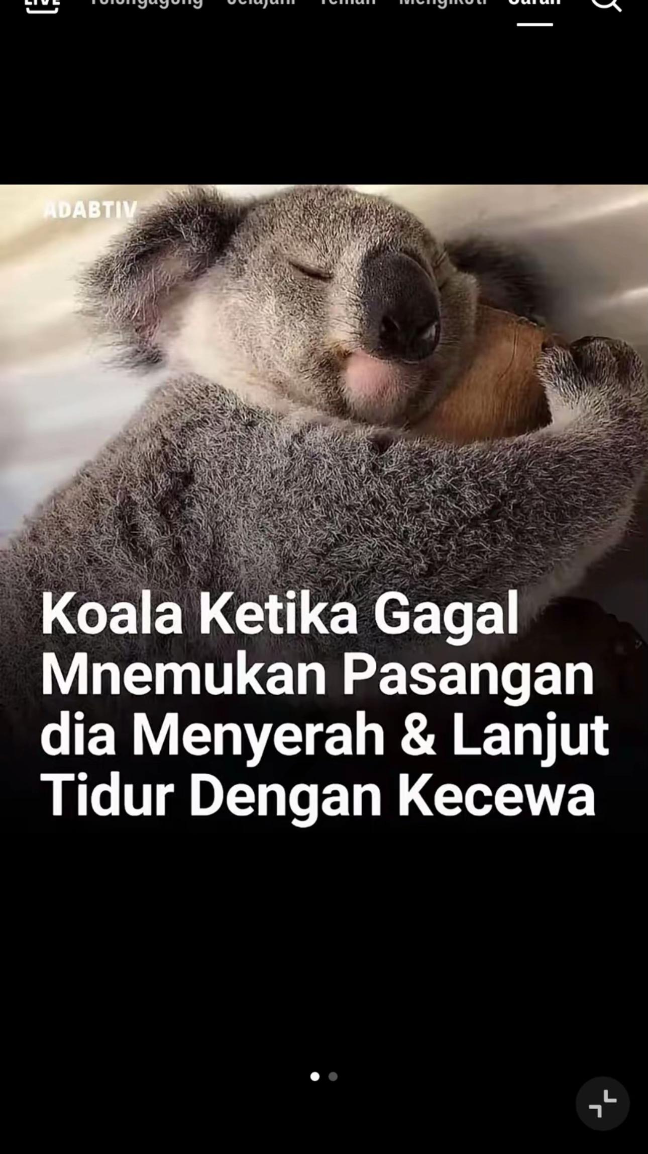 @Adyatmol