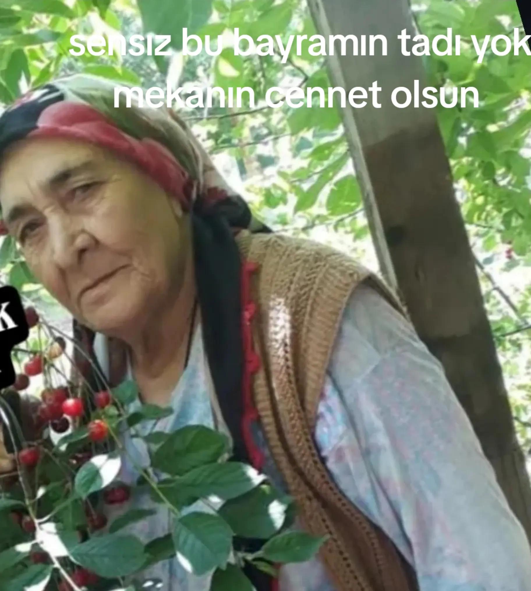 @Demet Tan KARABELA@