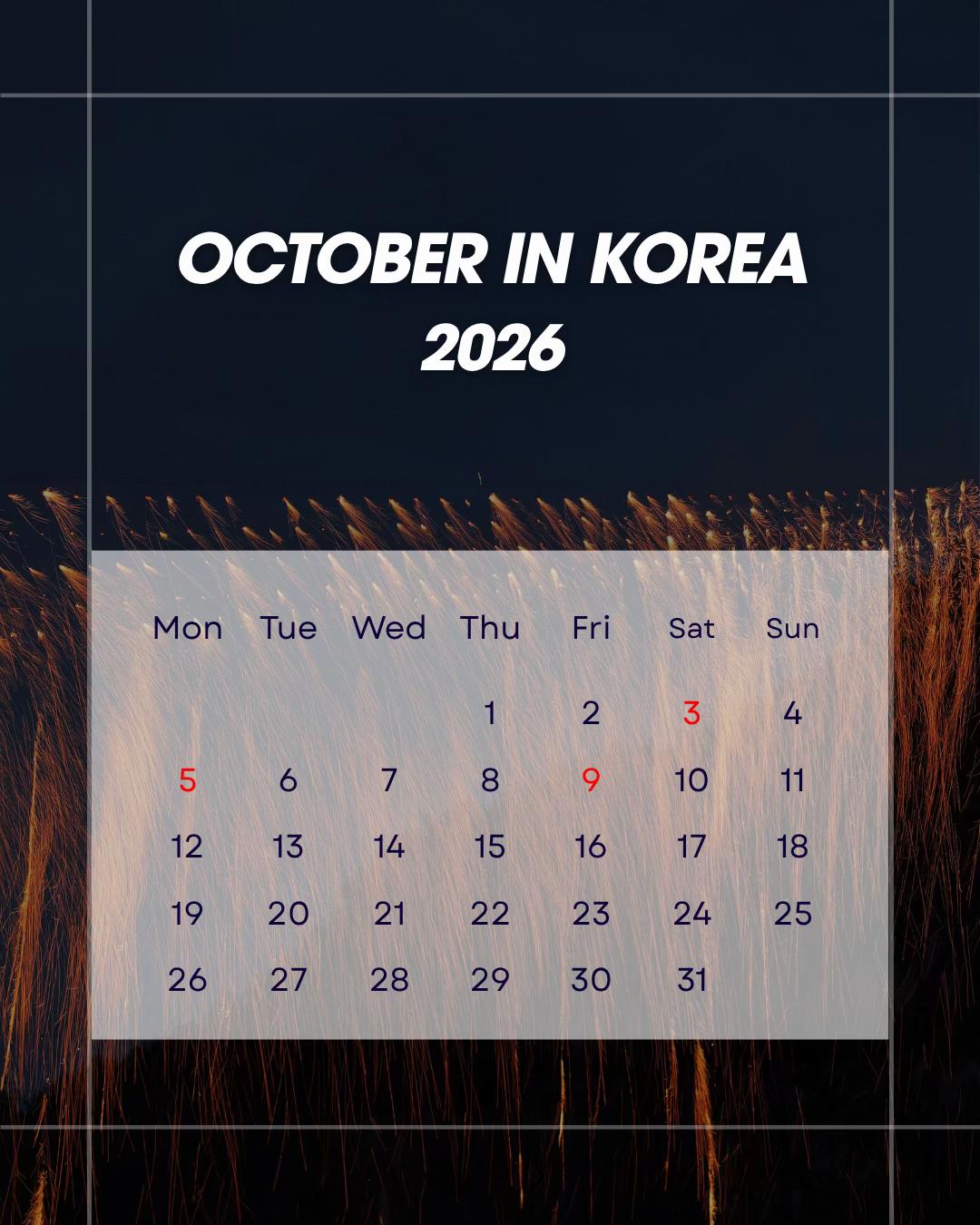 @Korea Insider