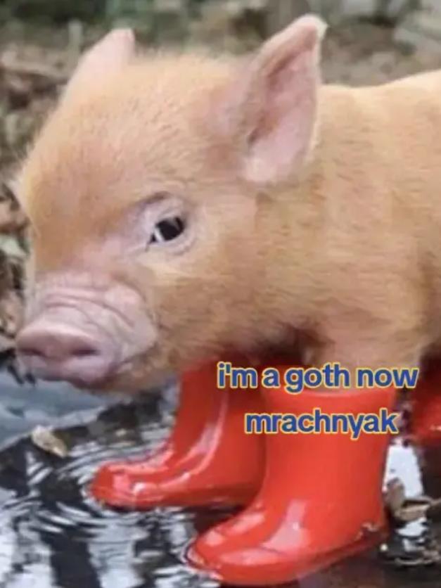 @❗ПЕРЕЕЗД❗kokes BRUH⁴² !