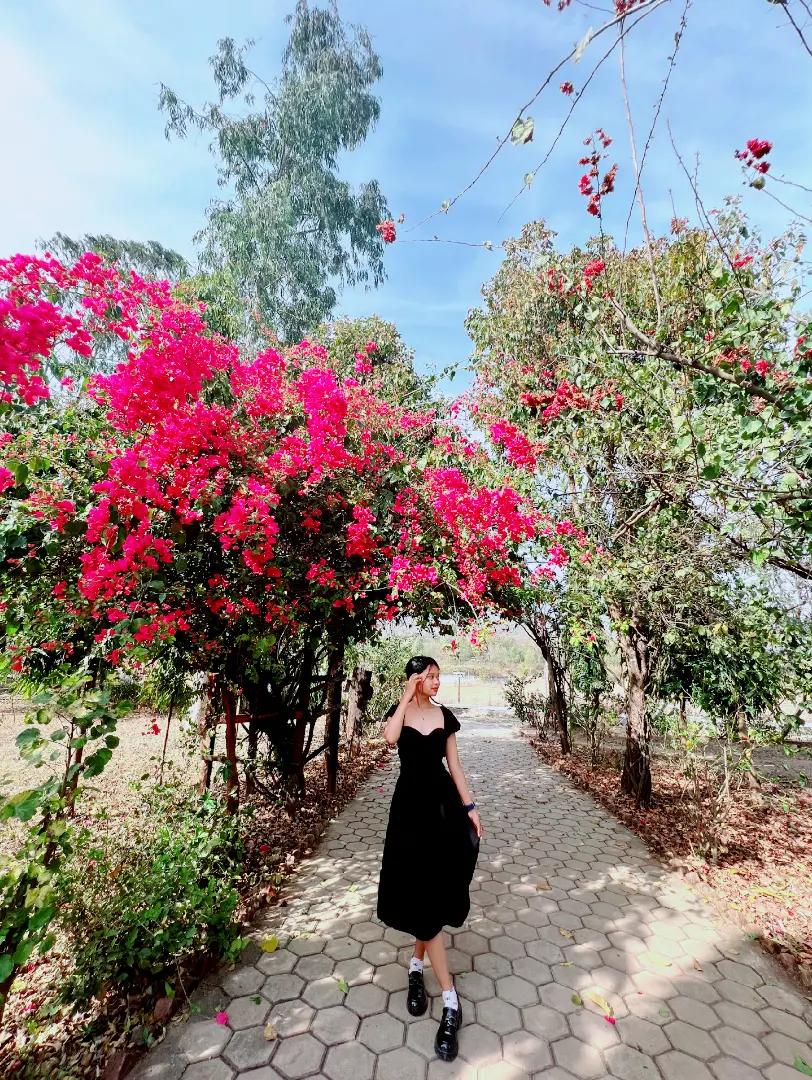 @STM🤍🌺