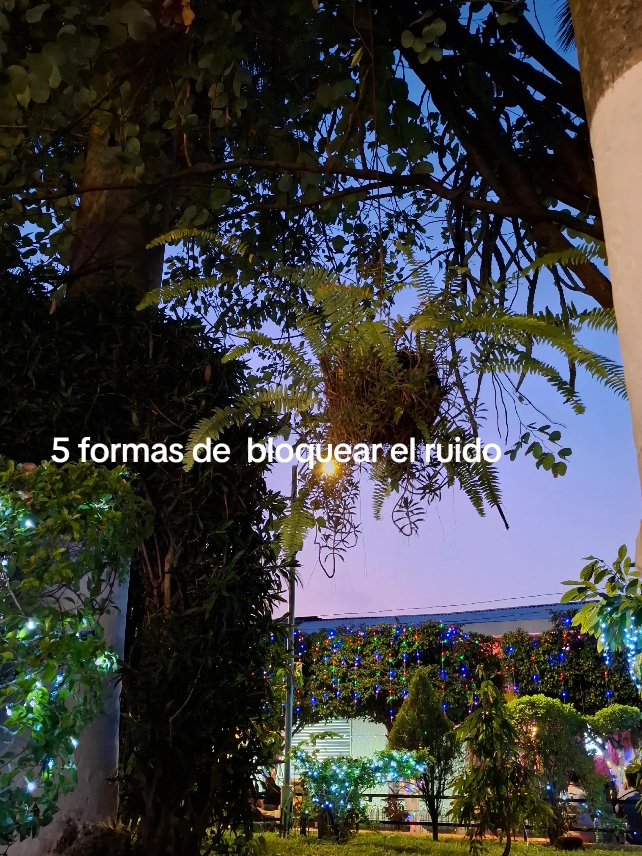 @𝓜𝓸𝓵𝓲𝓷𝓪._