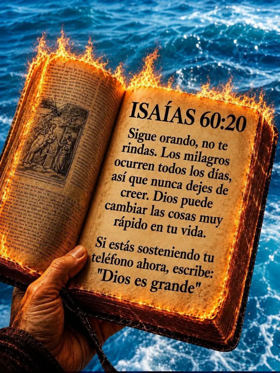 @Nuevas criaturas