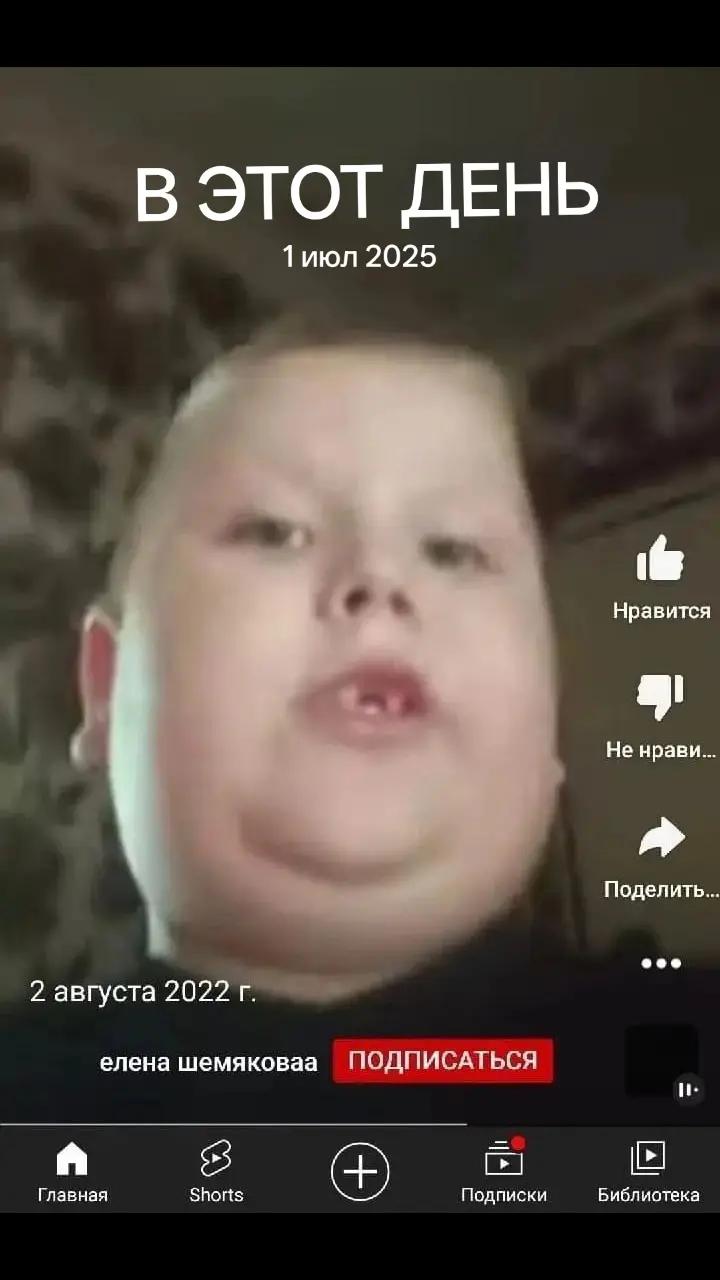 @собака кулибяка