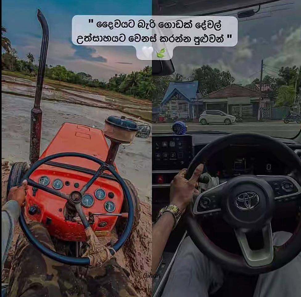 @Madhu_5047_D