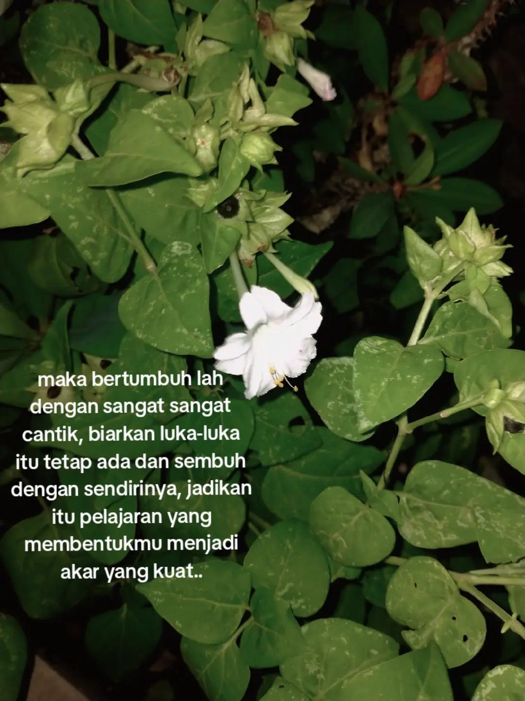 @its me