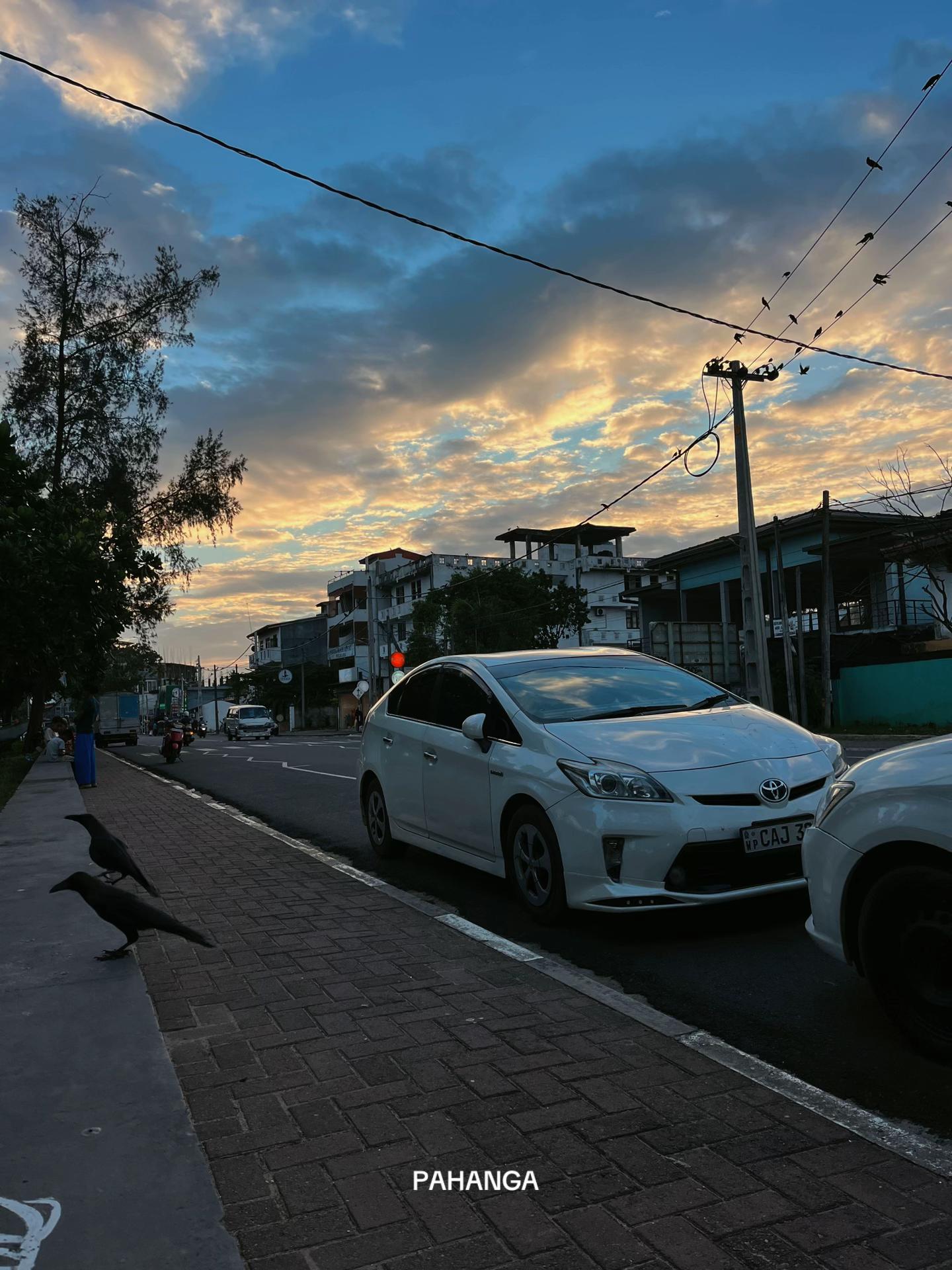 @Pahanga Senarathna