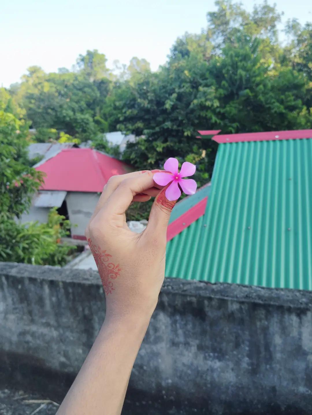 @💞~প্রবাসীর বউ~ 🦋