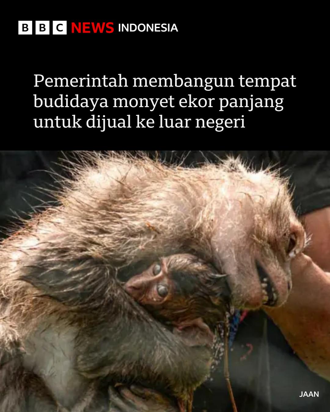 @bbcnewsindonesia