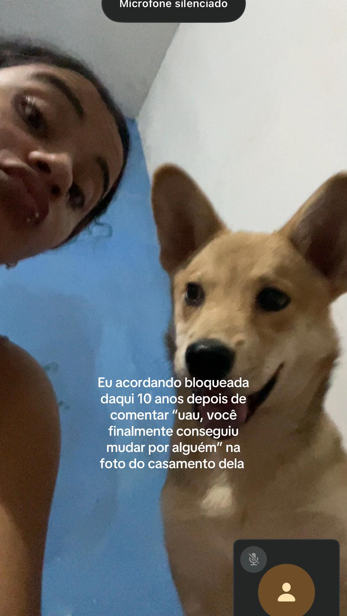 @cachinhos