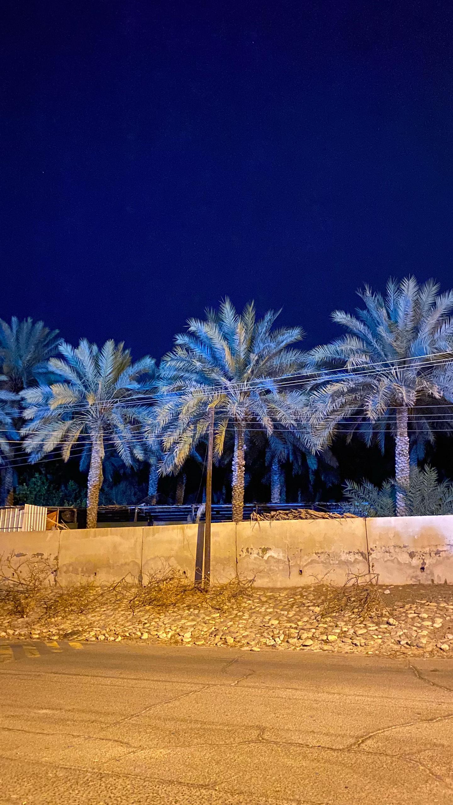 @ســــالـــم| ١٤٣١هـ ❣️