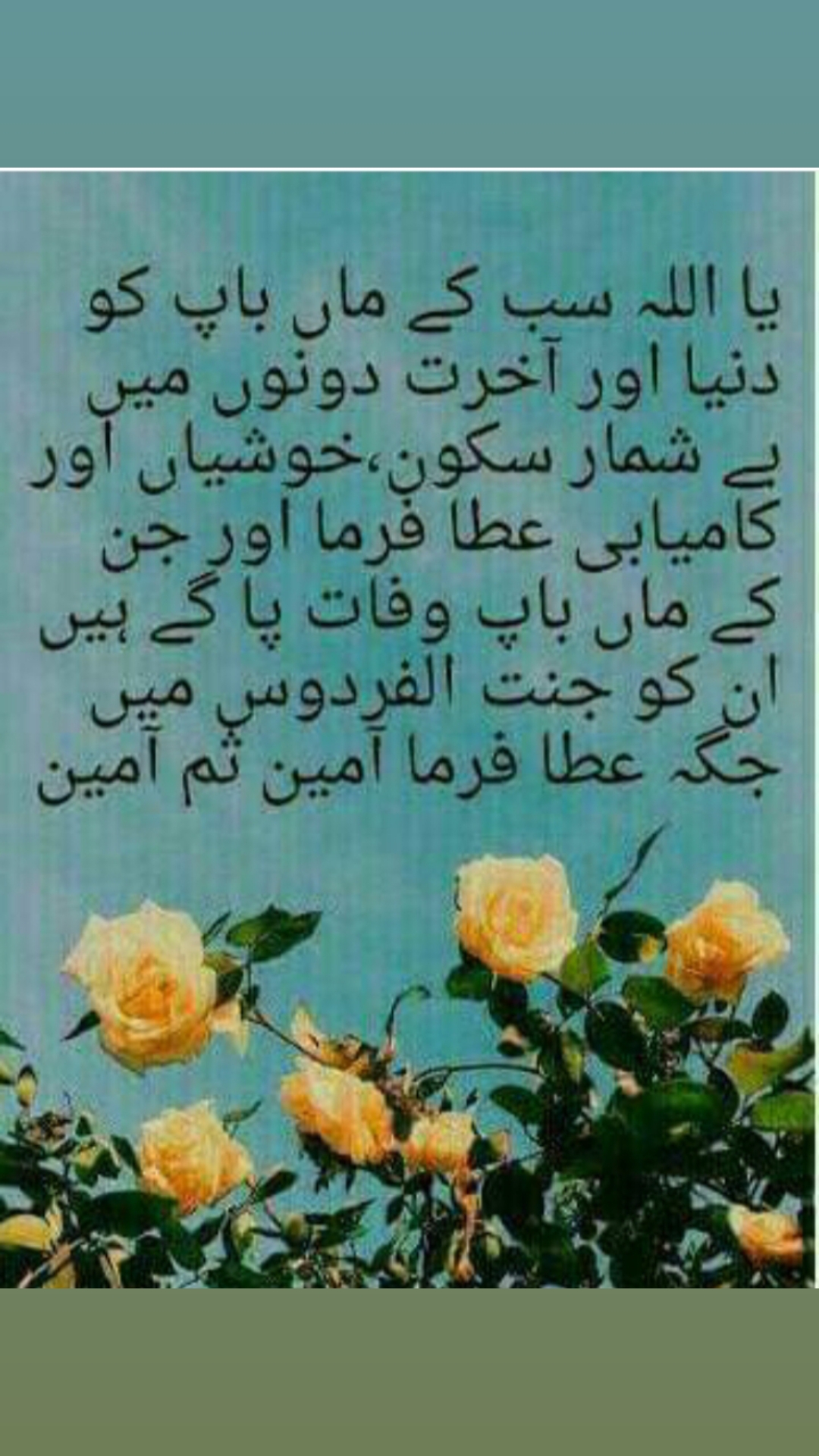 @maryam jamila