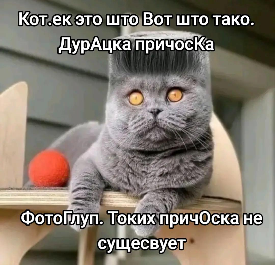 @блогер кича