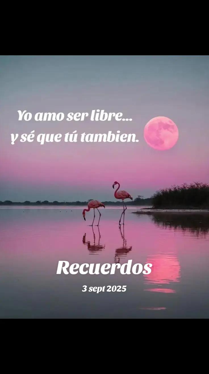 @€velyn Reyes A.