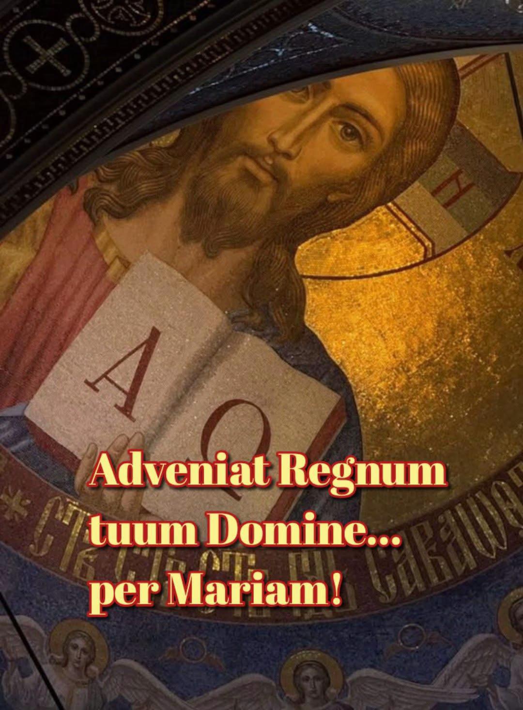 @Don Minutella