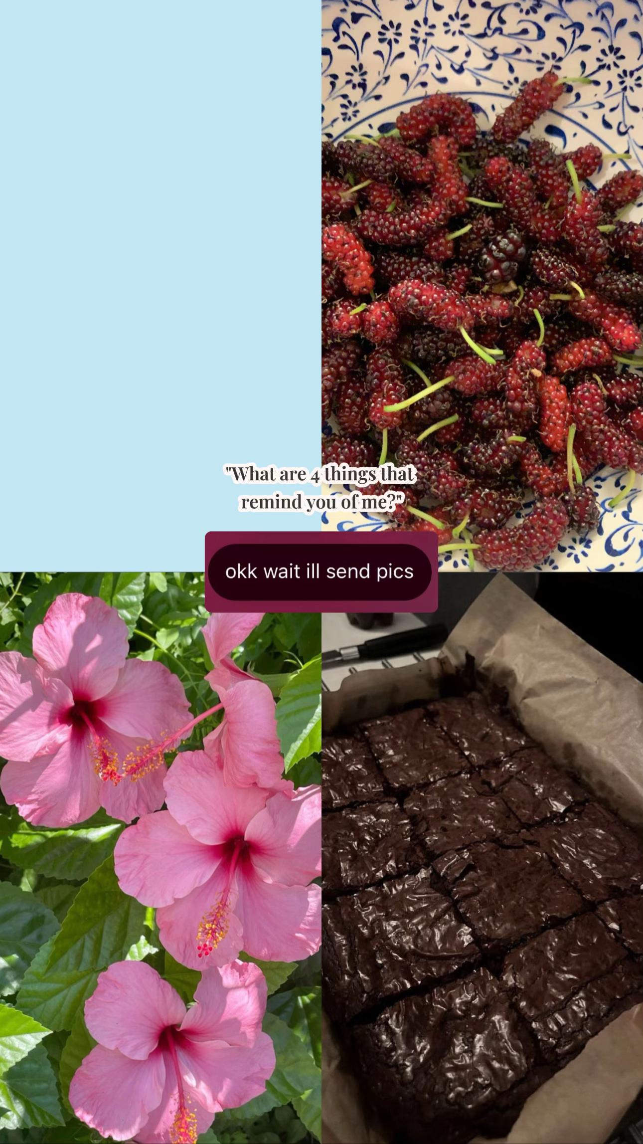 @nourr ๐