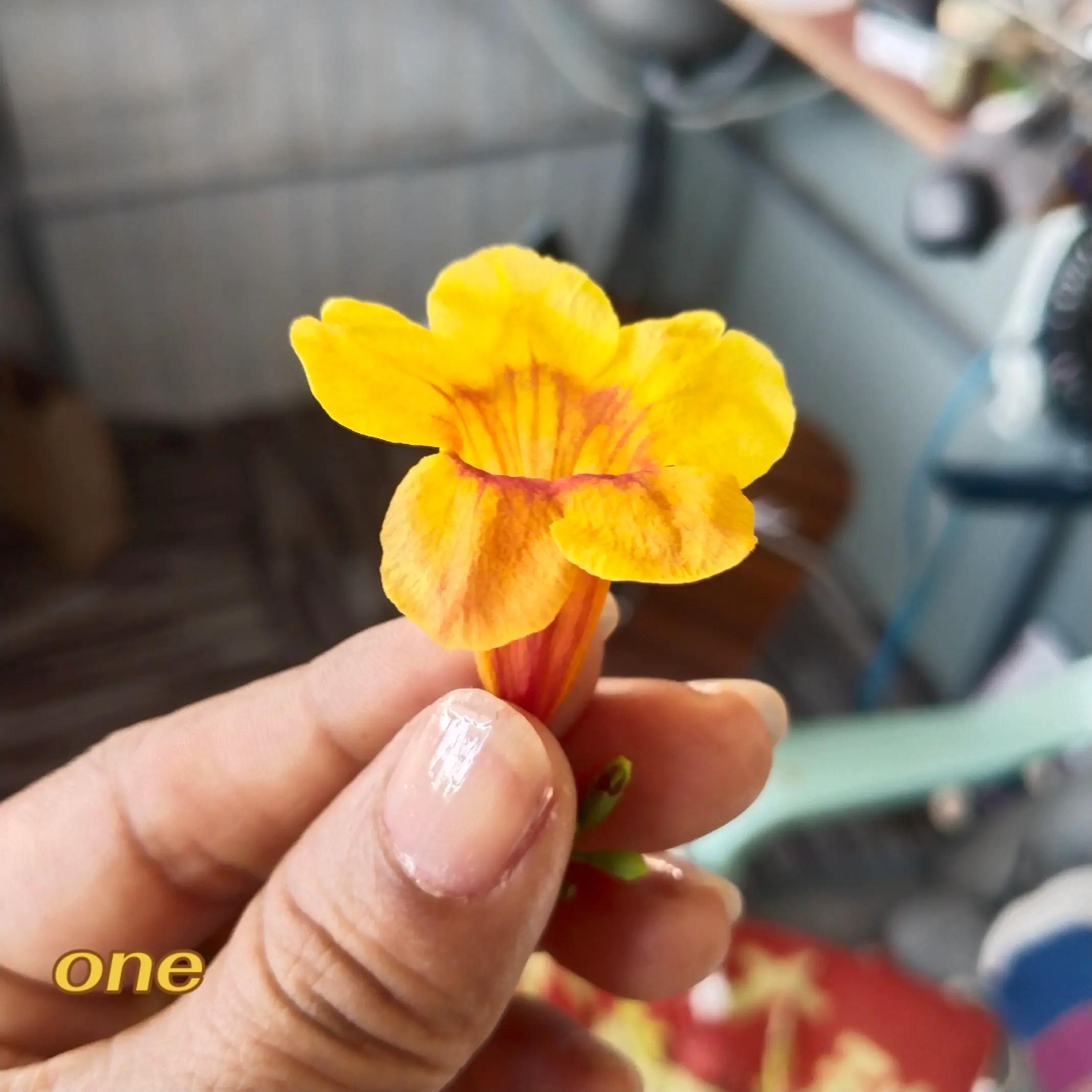 @one