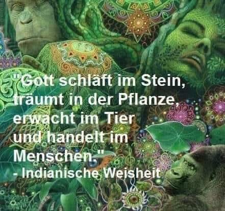 @der 7. Schlüssel