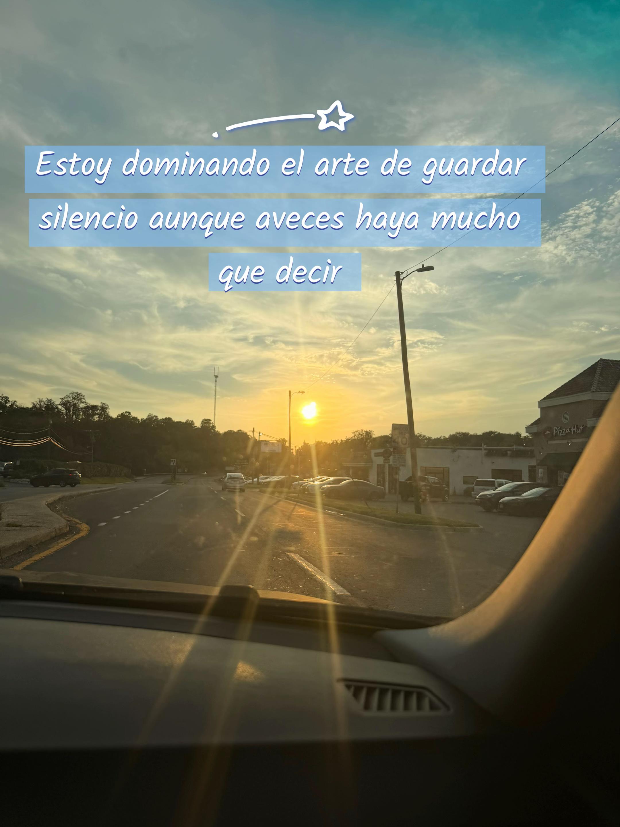 @sindyflores730