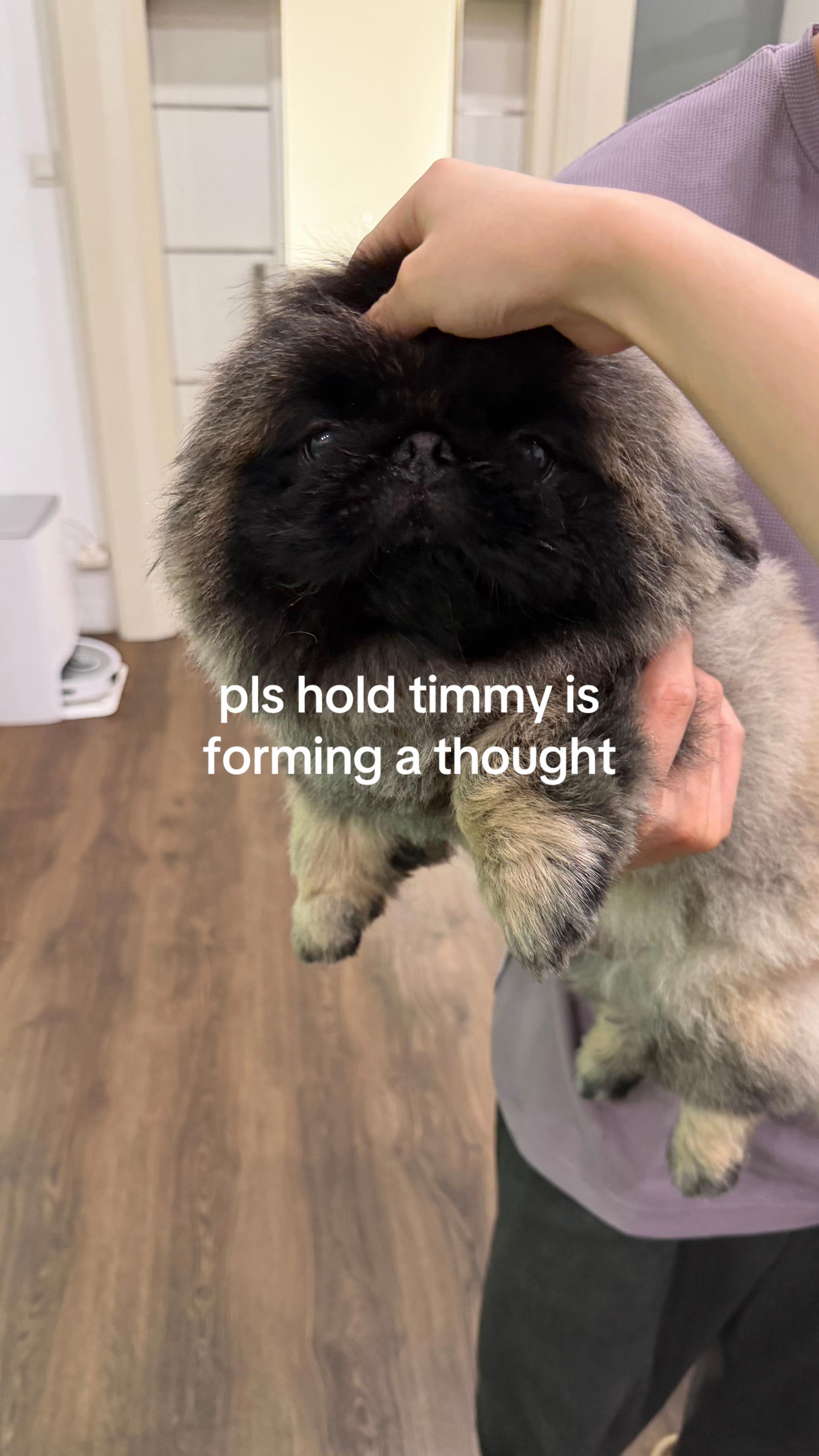 @Tobey & Timothy 🌚