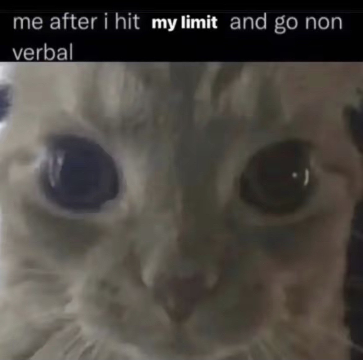 @⏰
