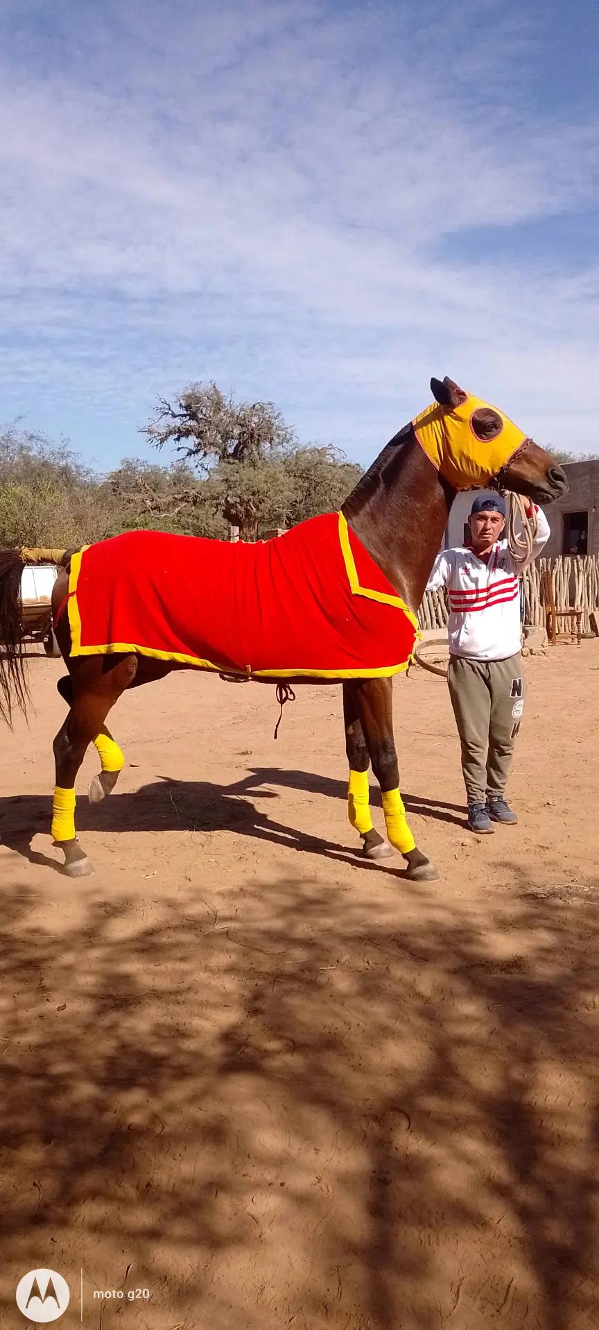@facu 😎