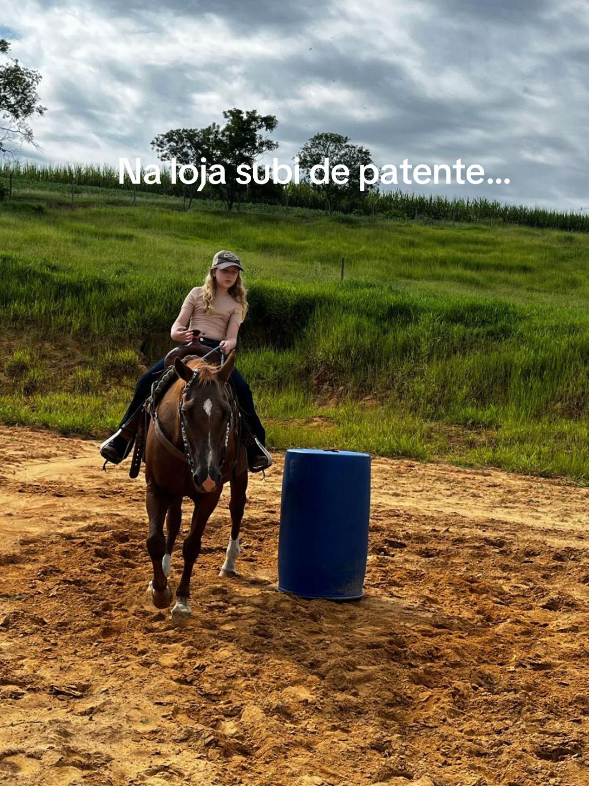 @Thor & cookie🐴🐰