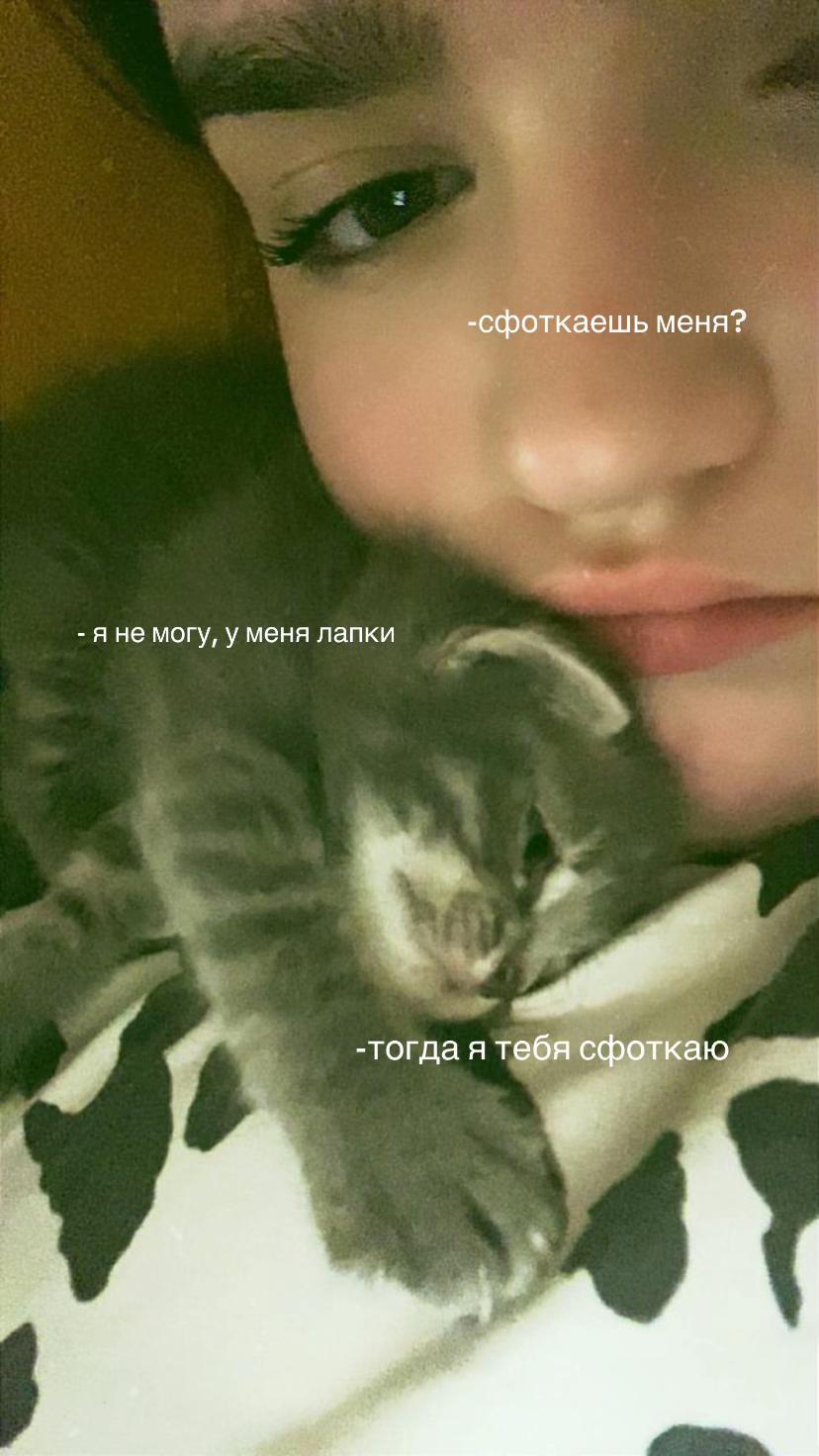 @🐈&zwj;⬛