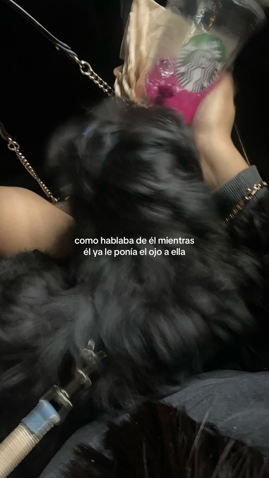 @camiluu