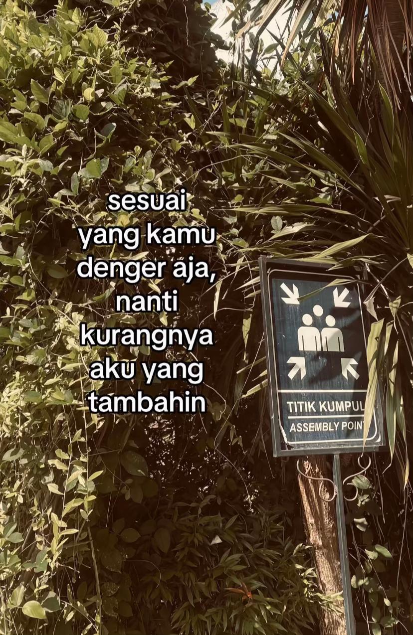 @Layla