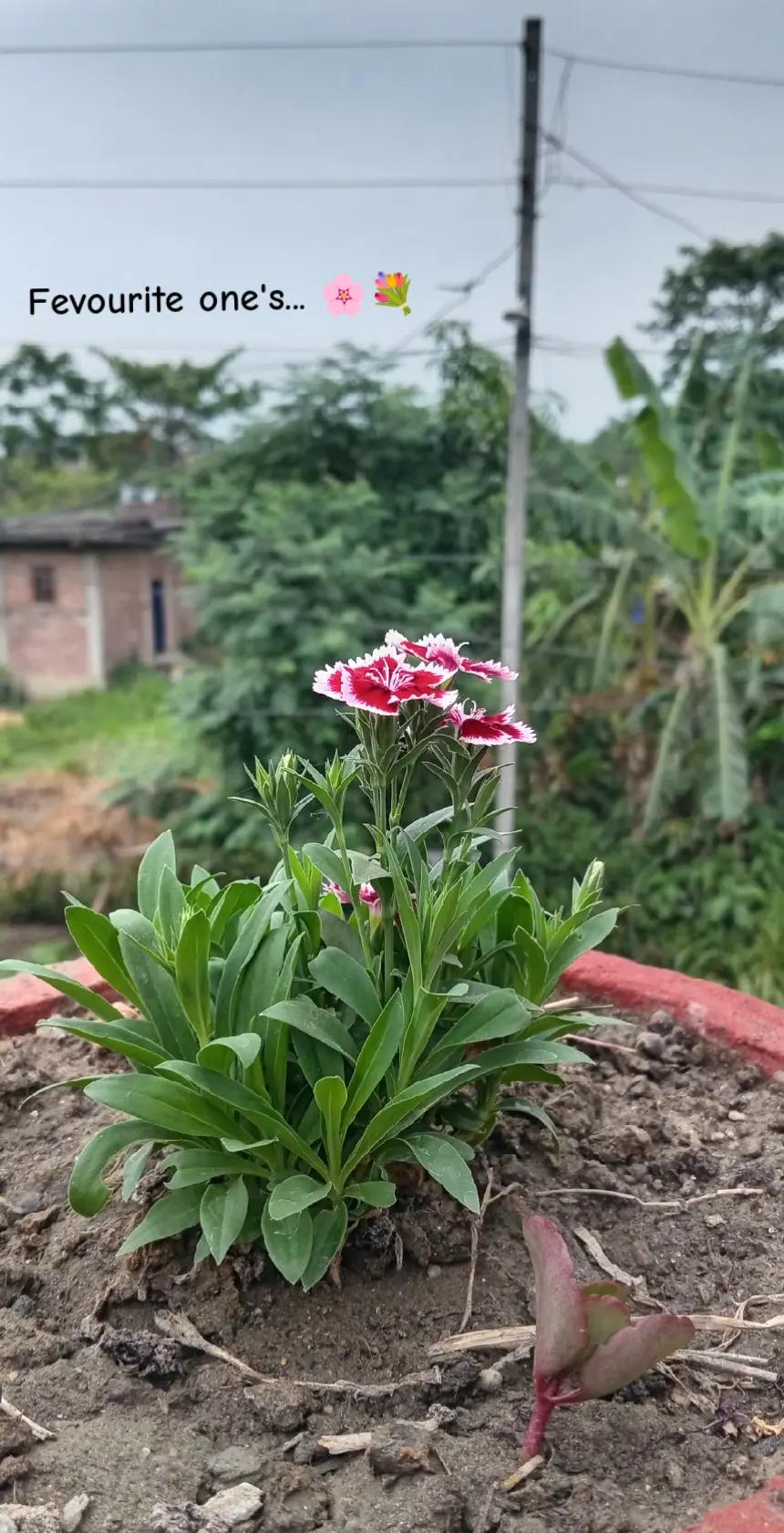 @[&hearts;️🌷"20:21"💤🧿]