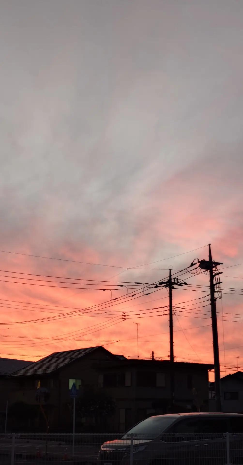 @ょーこ